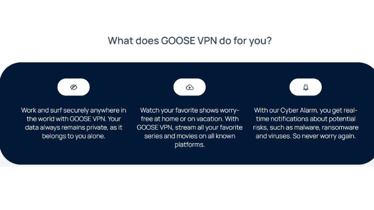 Goose VPN Lifetime Deal - Secure VPN Service Software
